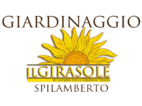 Il Girasole